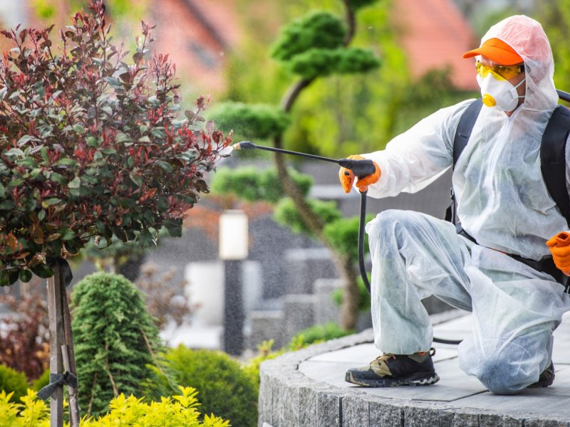 İmranlı Haşere İlaçlama